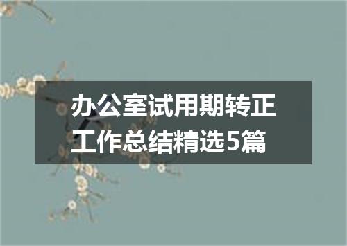办公室试用期转正工作总结精选5篇