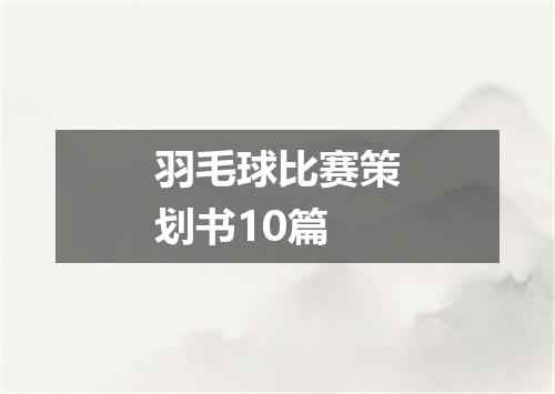 羽毛球比赛策划书10篇