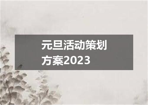 元旦活动策划方案2023