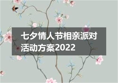 七夕情人节相亲派对活动方案2022