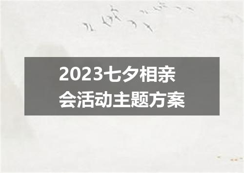 2023七夕相亲会活动主题方案