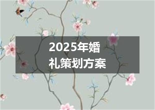 2025年婚礼策划方案