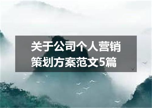 关于公司个人营销策划方案范文5篇