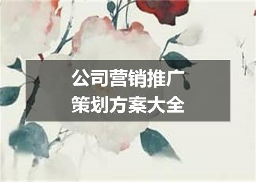 公司营销推广策划方案大全