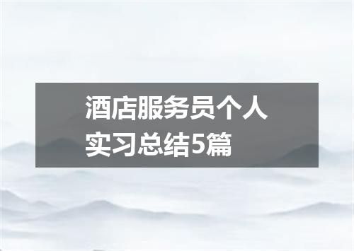 酒店服务员个人实习总结5篇