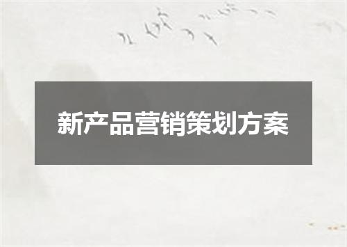 新产品营销策划方案