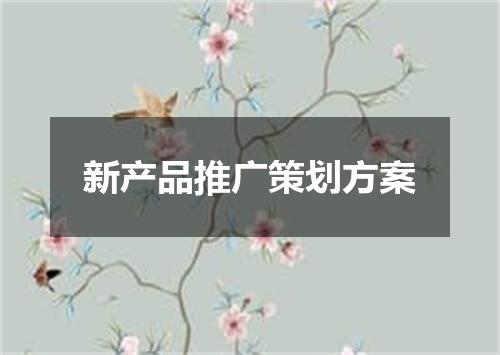 新产品推广策划方案