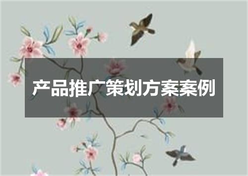 产品推广策划方案案例
