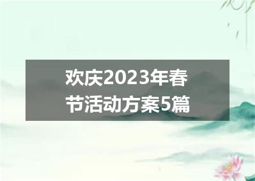 欢庆2023年春节活动方案5篇