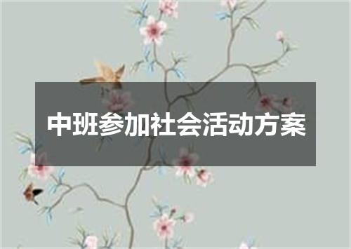 中班参加社会活动方案