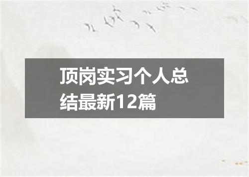 顶岗实习个人总结最新12篇