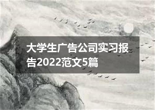 大学生广告公司实习报告2022范文5篇