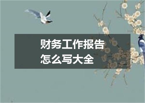 财务工作报告怎么写大全