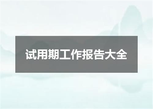 试用期工作报告大全
