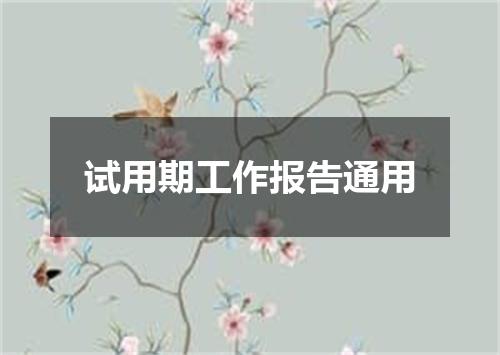 试用期工作报告通用