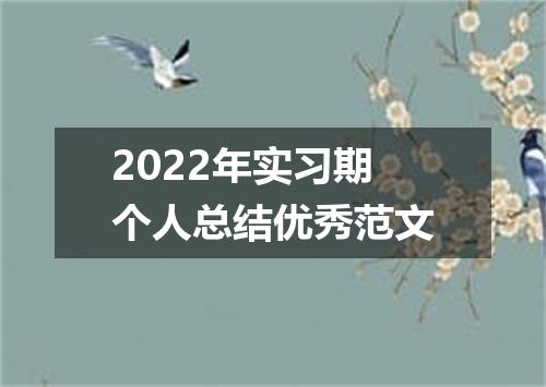 2022年实习期个人总结优秀范文