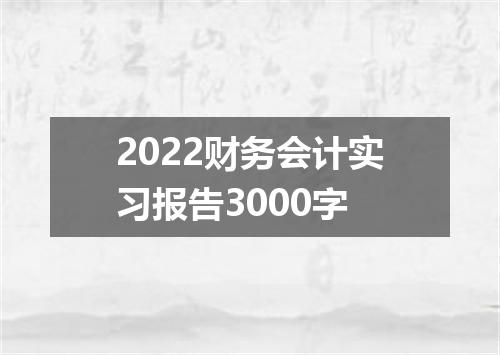2022财务会计实习报告3000字