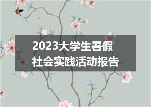 2023大学生暑假社会实践活动报告