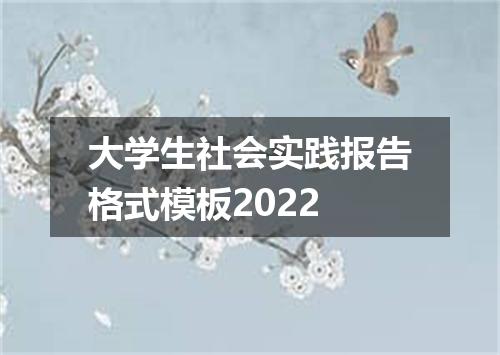 大学生社会实践报告格式模板2022