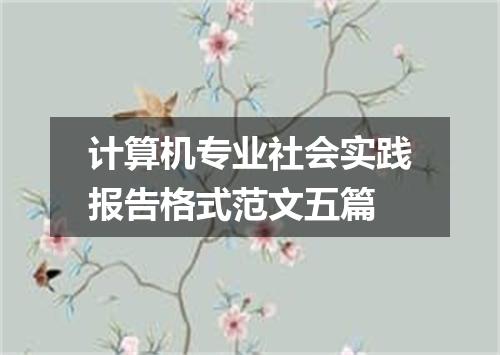 计算机专业社会实践报告格式范文五篇