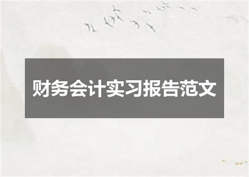 财务会计实习报告范文