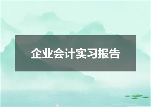 企业会计实习报告
