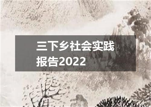 三下乡社会实践报告2022