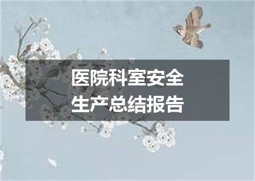 医院科室安全生产总结报告