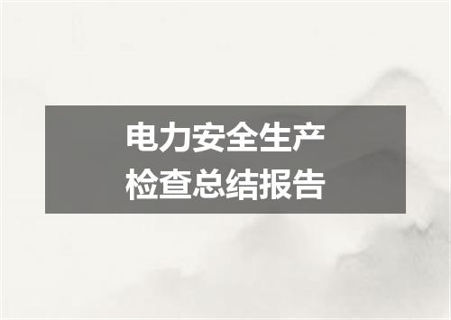 电力安全生产检查总结报告