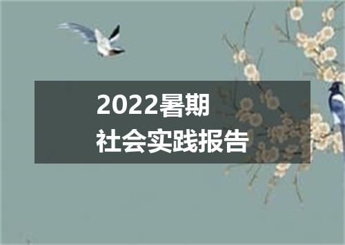 2022暑期社会实践报告