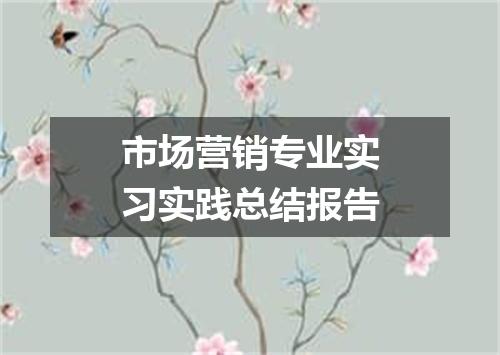 市场营销专业实习实践总结报告