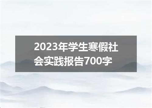 2023年学生寒假社会实践报告700字
