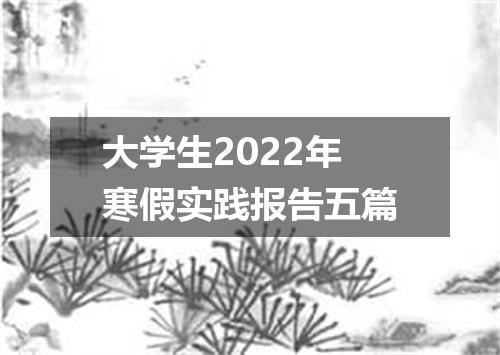 大学生2022年寒假实践报告五篇