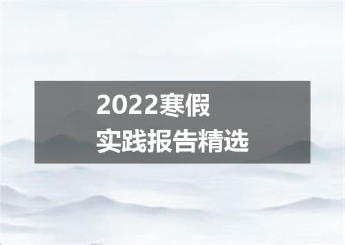 2022寒假实践报告精选