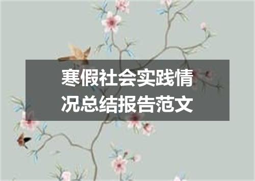 寒假社会实践情况总结报告范文