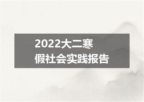 2022大二寒假社会实践报告