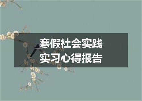寒假社会实践实习心得报告