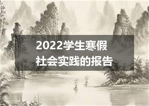 2022学生寒假社会实践的报告