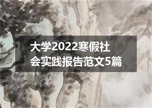 大学2022寒假社会实践报告范文5篇