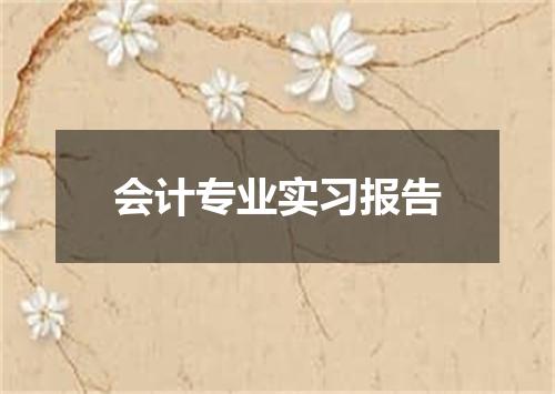会计专业实习报告
