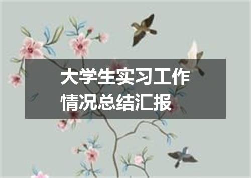 大学生实习工作情况总结汇报
