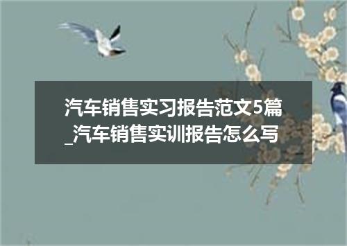 汽车销售实习报告范文5篇_汽车销售实训报告怎么写