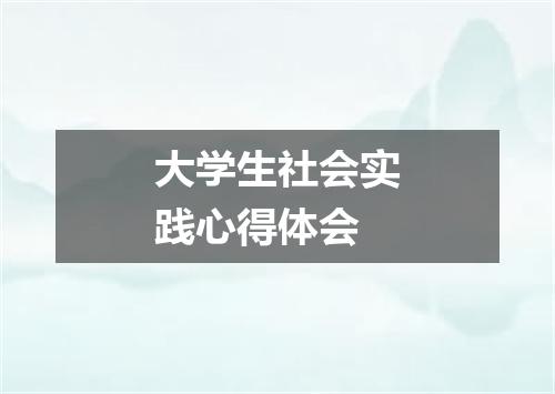 大学生社会实践心得体会