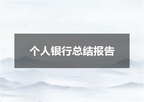 个人银行总结报告