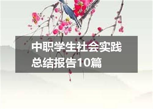 中职学生社会实践总结报告10篇