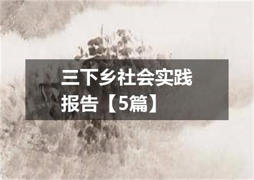三下乡社会实践报告【5篇】