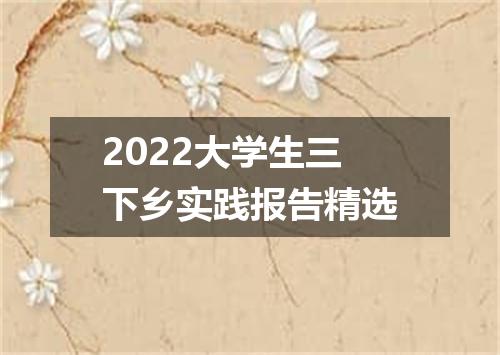 2022大学生三下乡实践报告精选