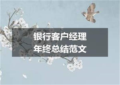 银行客户经理年终总结范文