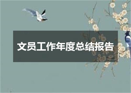 文员工作年度总结报告