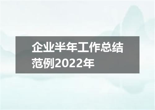 企业半年工作总结范例2022年